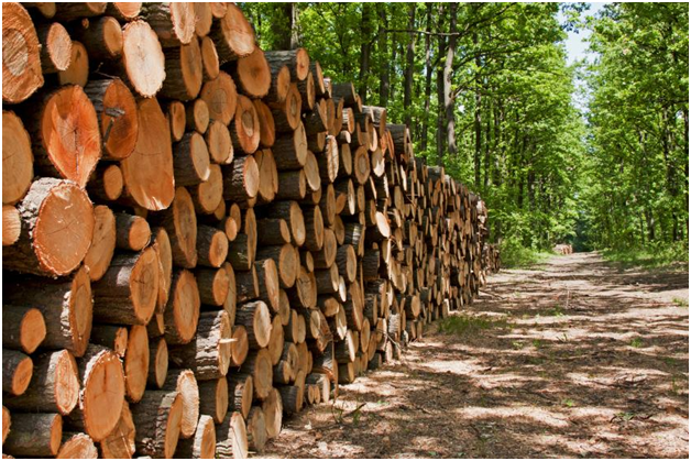 Deforestation and agriculture expansion